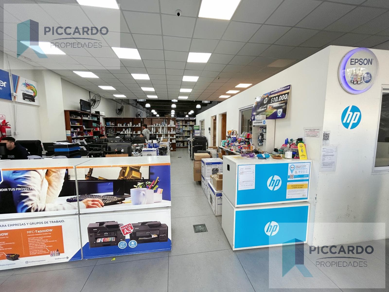 Business in Palermo