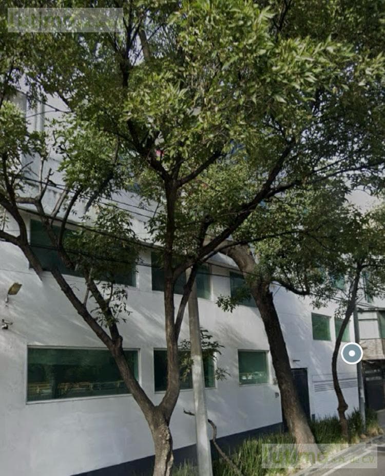 BUILDING, FLORIDA, ALVARO OBREGON, MEXICO CITY