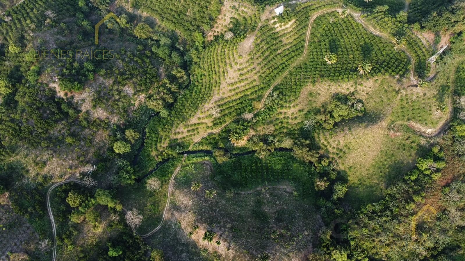Ranch for Sale in Tlapacoyan, Veracruz: 21 hectares with utility connections available