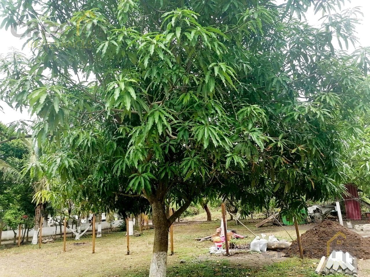 Rural Land in El Tejar, Veracruz