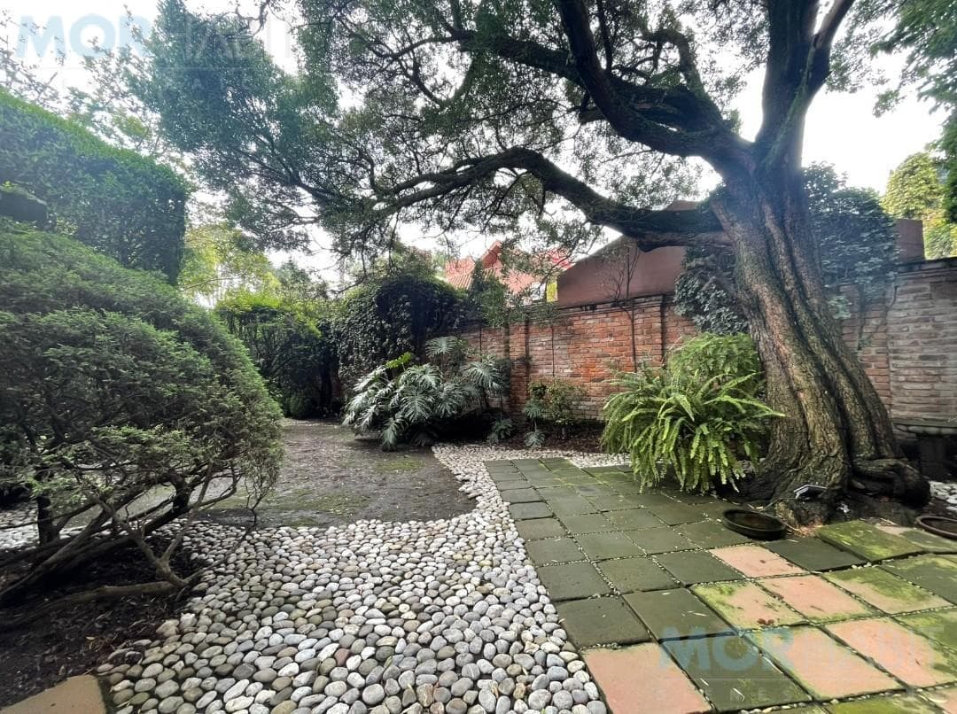 La Presilla, San Francisco Neighborhood