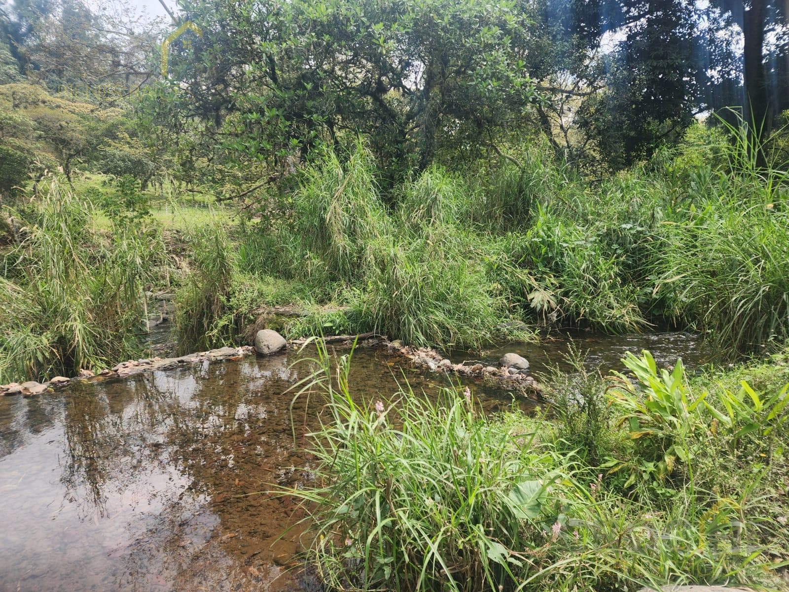 Rural lot in San Marcos de León, Xico, Veracruz