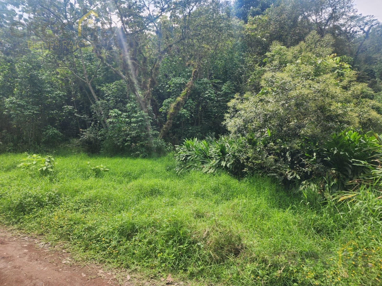 Rural lot in San Marcos de León, Xico, Veracruz
