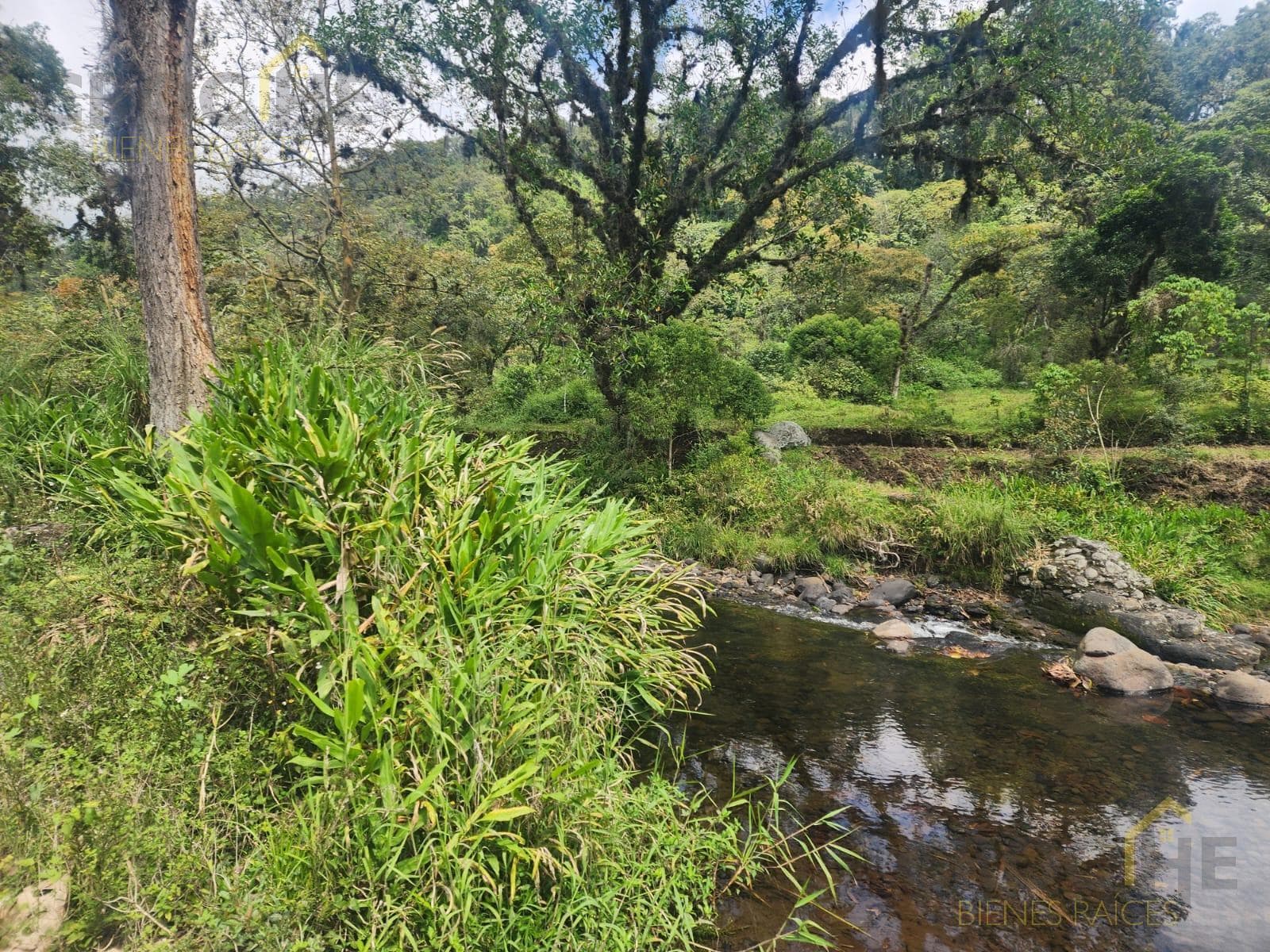 Rural lot in San Marcos de León, Xico, Veracruz