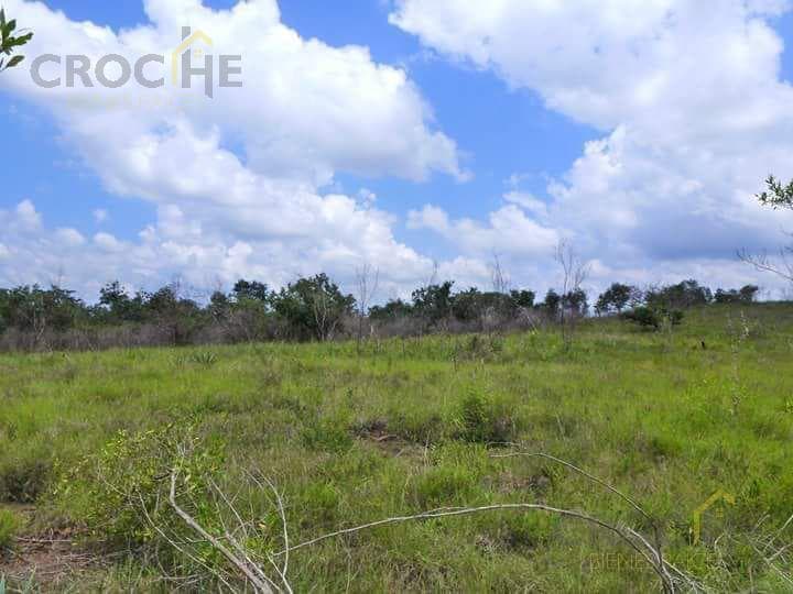 Ranch in Limones, Cosautlán, Veracruz—25 Hectares