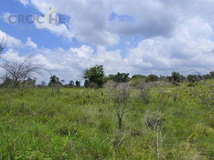 Ranch in Limones, Cosautlán, Veracruz—25 Hectares