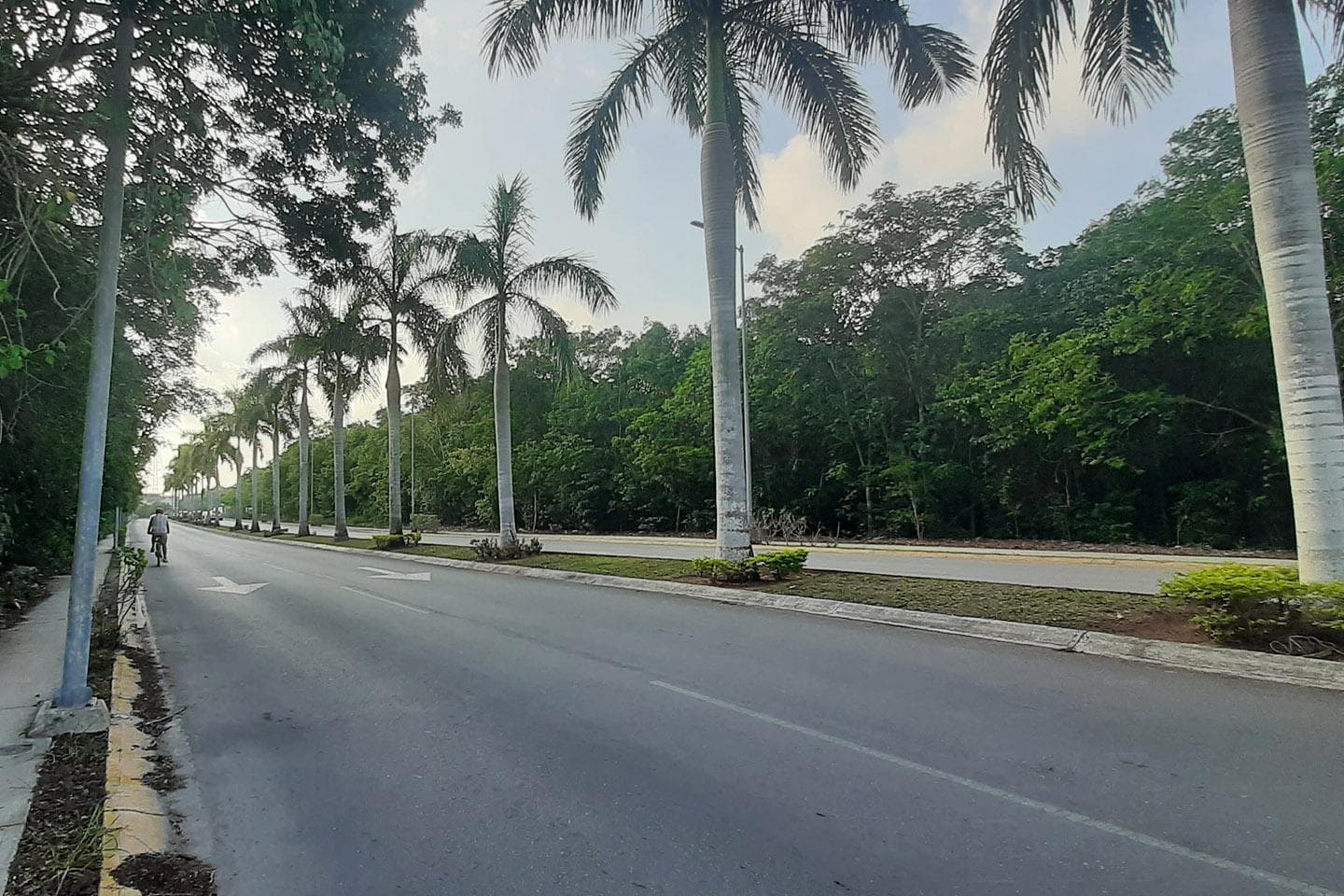 Land for Sale in Alfredo Bonfil