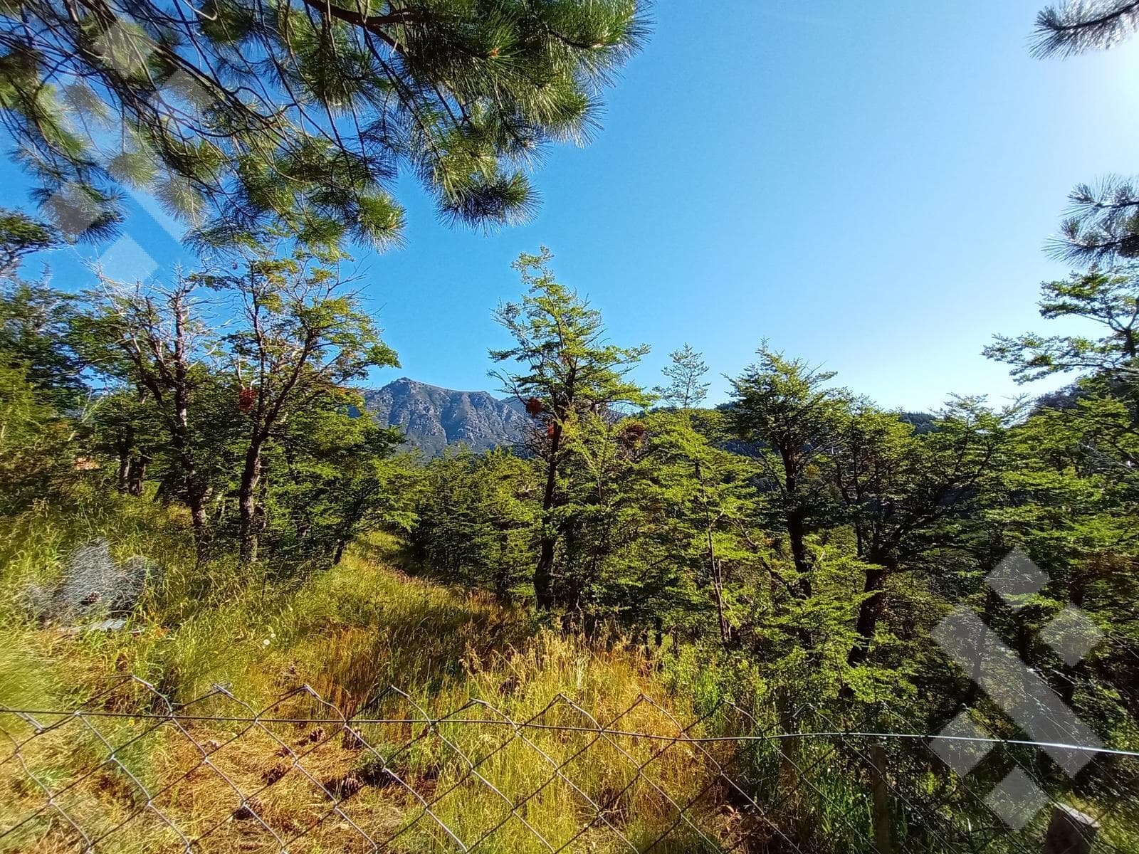 966 m² Plot of Land for Sale - Rio Hermoso - San Martín de los Andes