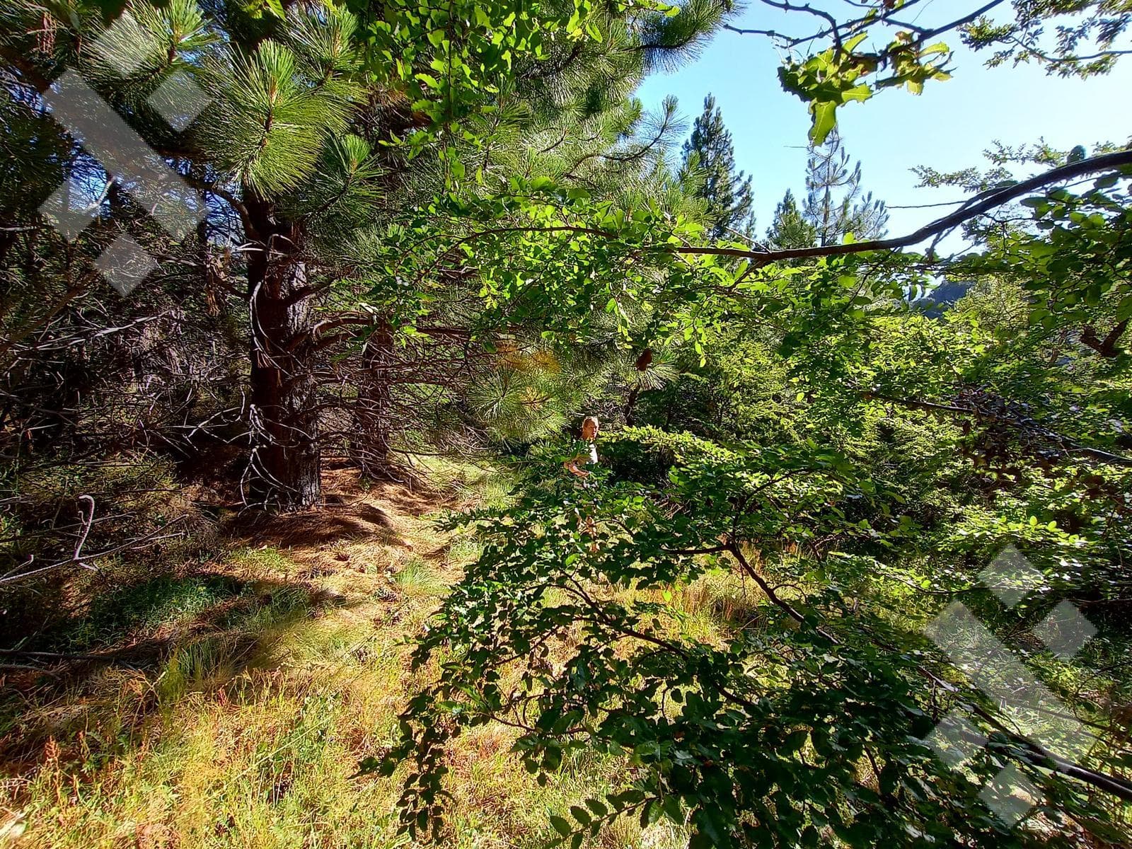 966 m² Plot of Land for Sale - Rio Hermoso - San Martín de los Andes