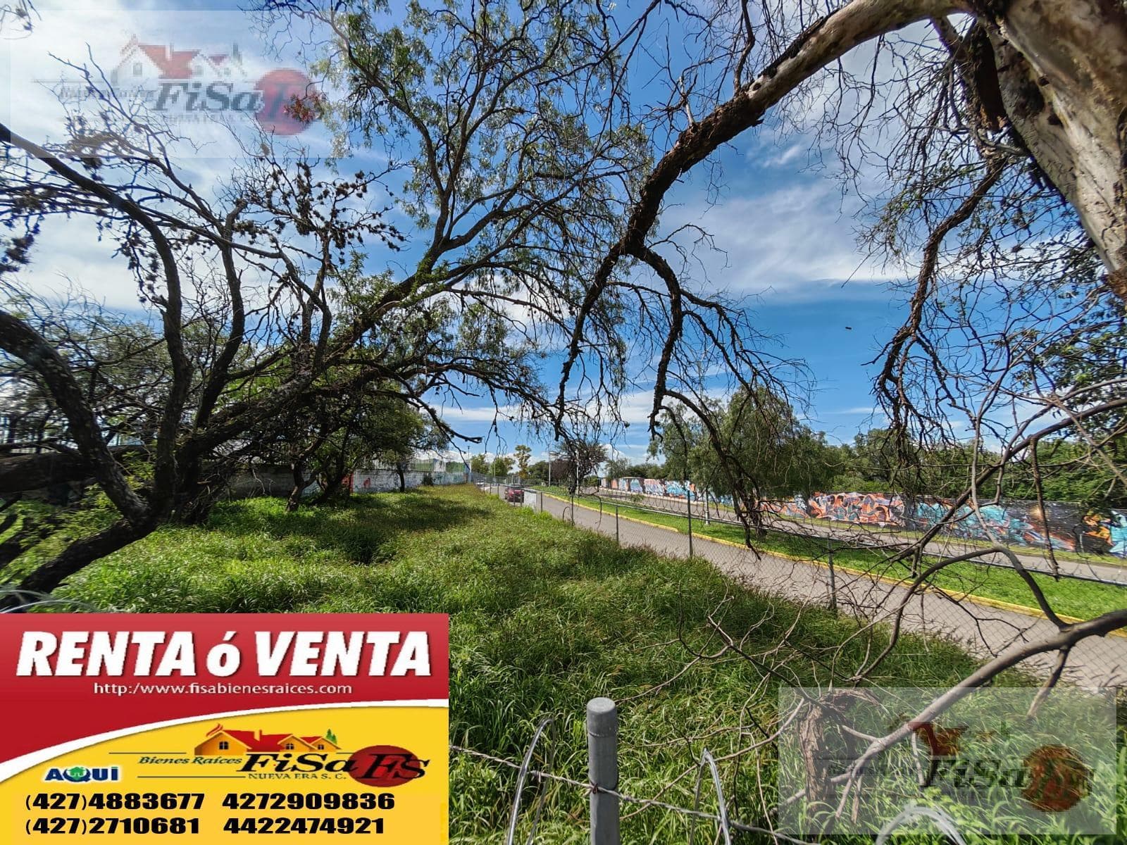 LAND FOR SALE AND/OR RENT