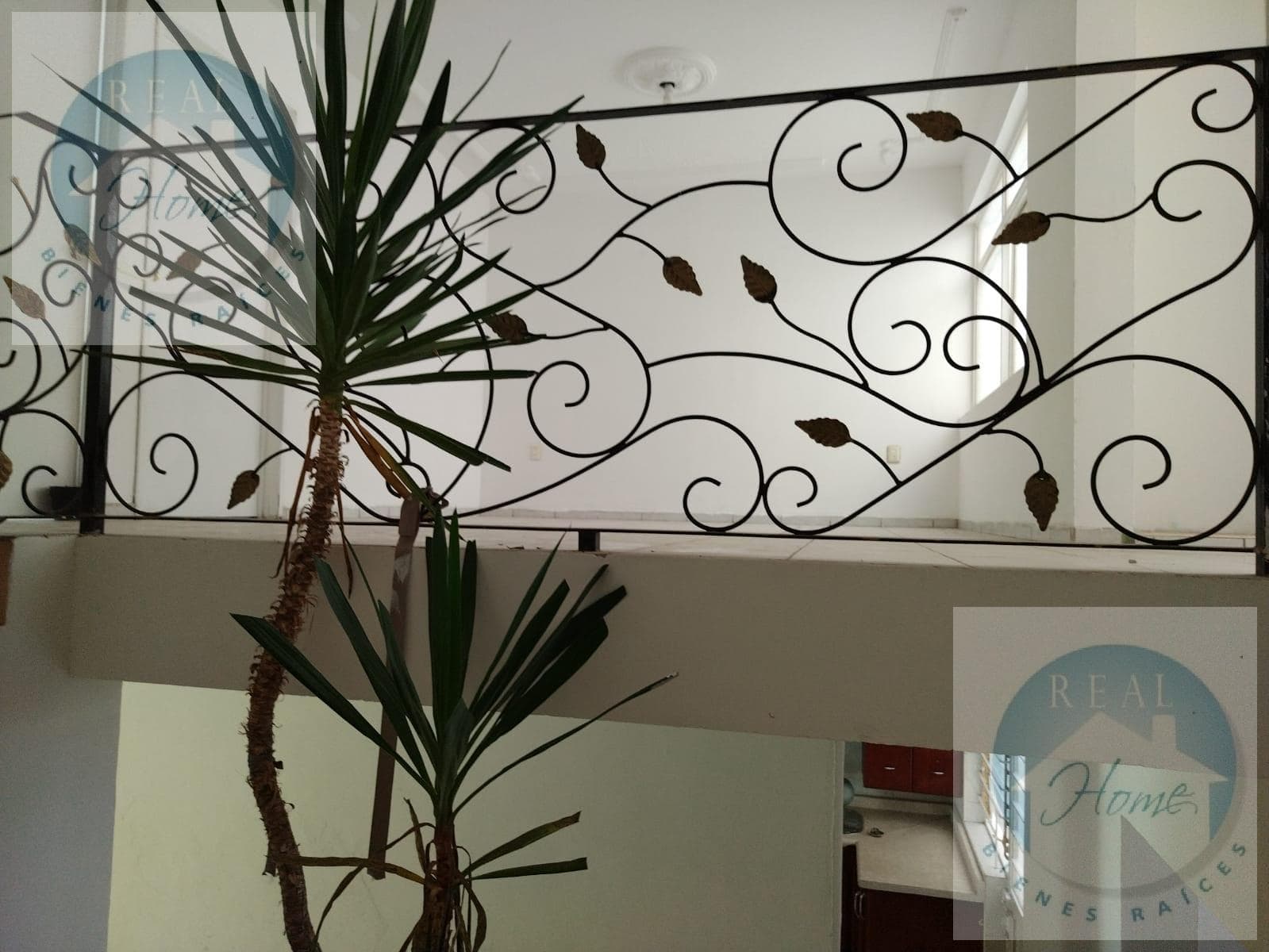 House for Sale in Colonia la Esperanza (Federacha)