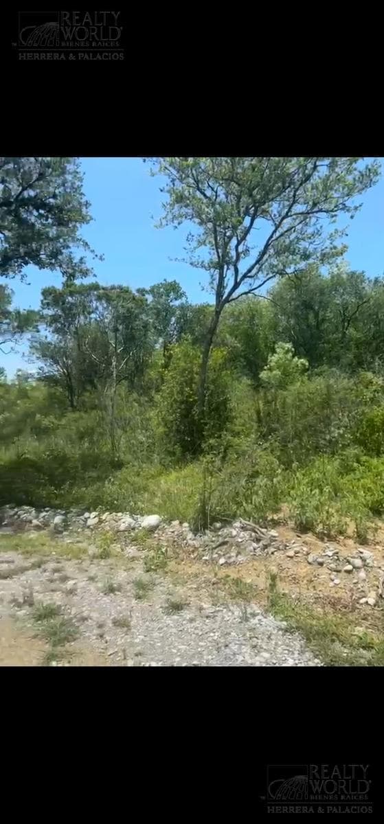 Rural Land for Sale in Valle Venado, Montemorelos, NL