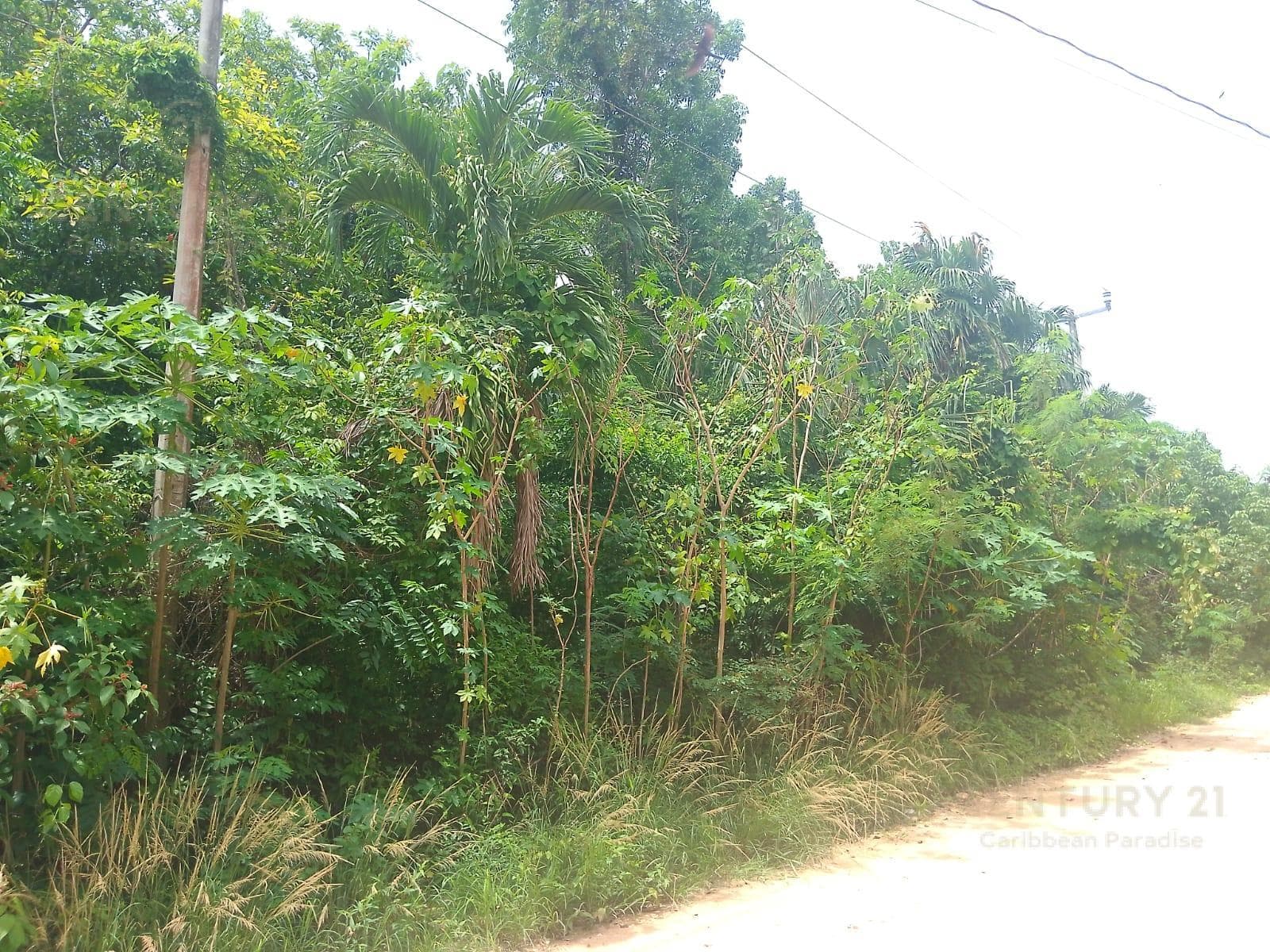 Land for Sale in Buena Vista Bacalar P4433