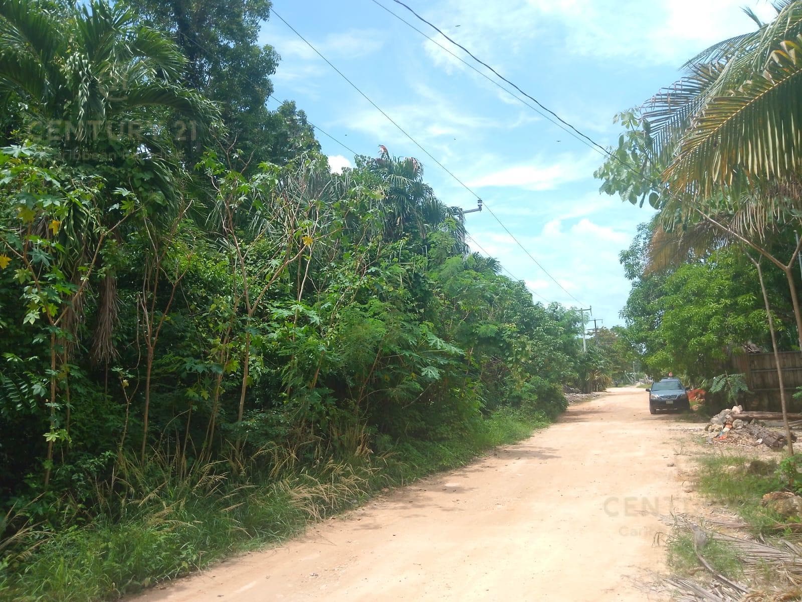 Land for Sale in Buena Vista Bacalar P4433