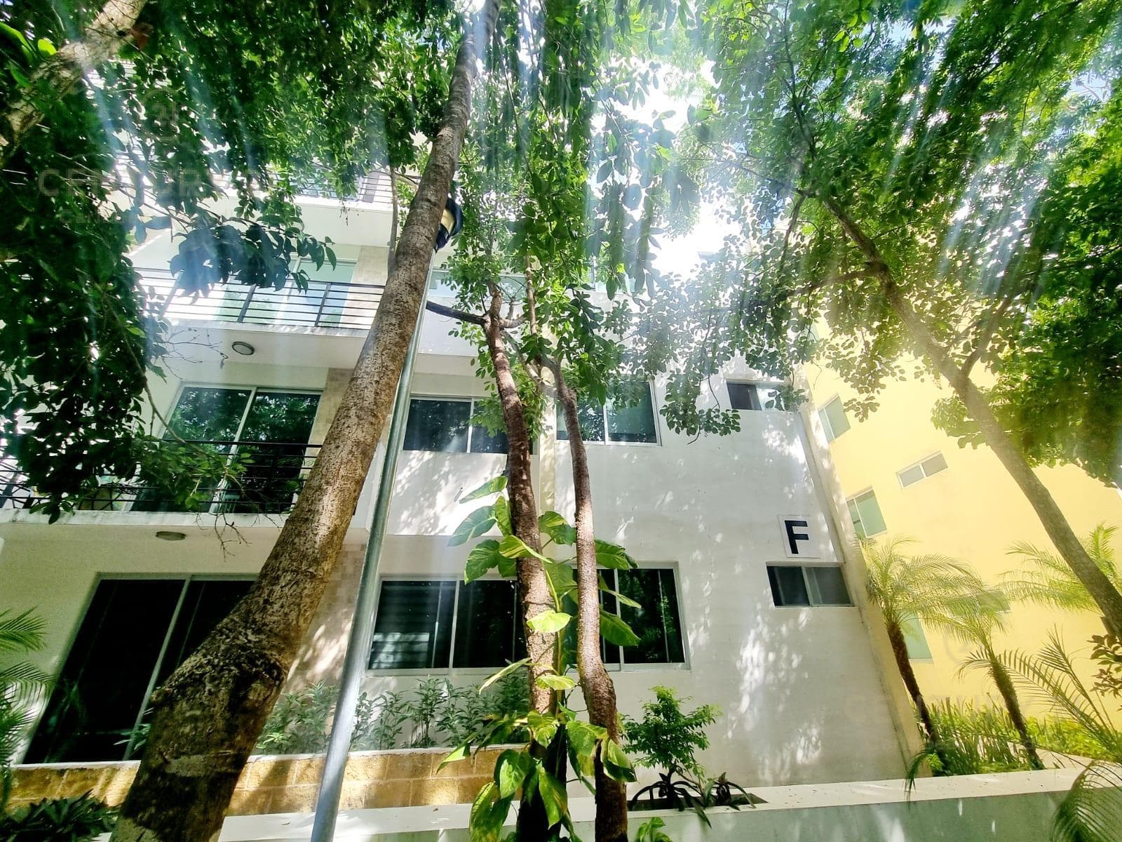 2-Bedroom Furnished Apartment for Rent in Punta Estrella, Playa del Carmen P4492