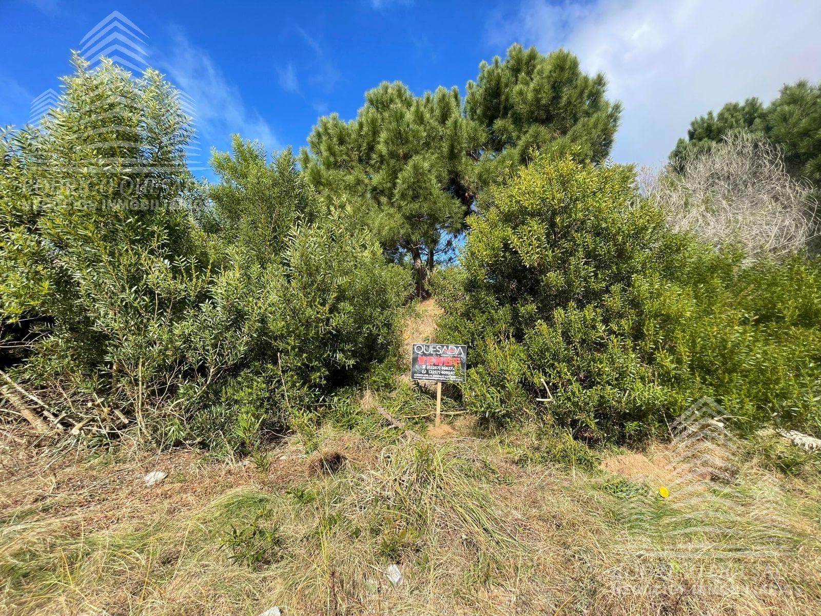 |944-square-meter lot in a residential neighborhood| |Costa Esmeralda|