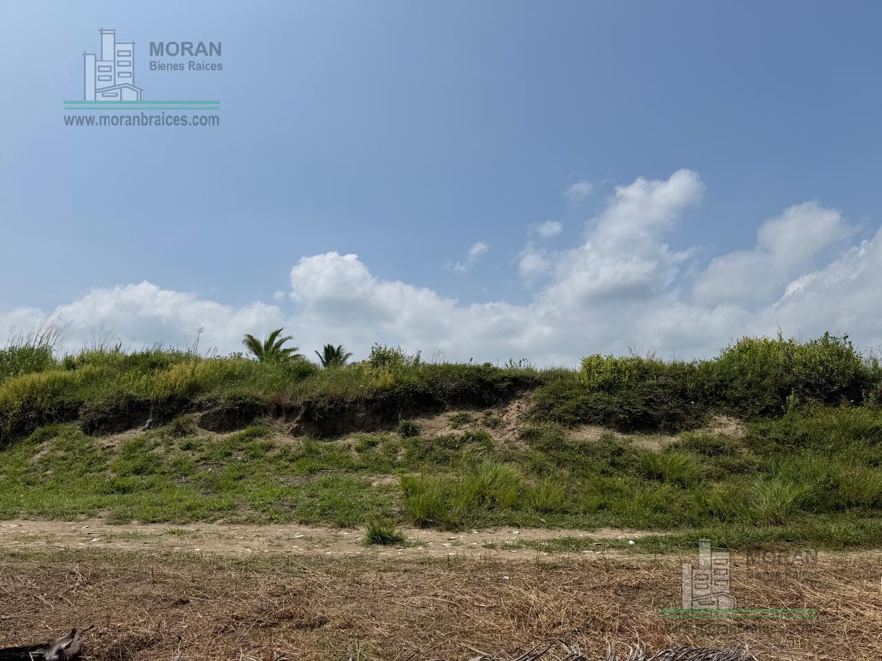 Land in Las Barrillas