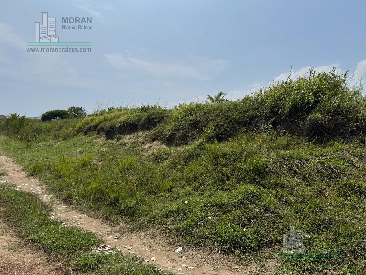 Land in Las Barrillas