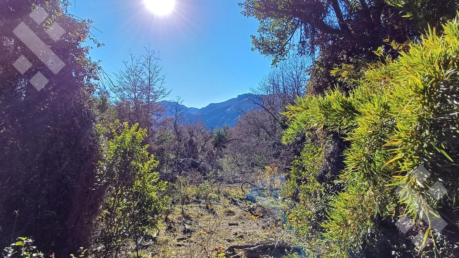 2,500 m² Lot for Sale - Section VI - Meliquina - San Martín de los Andes