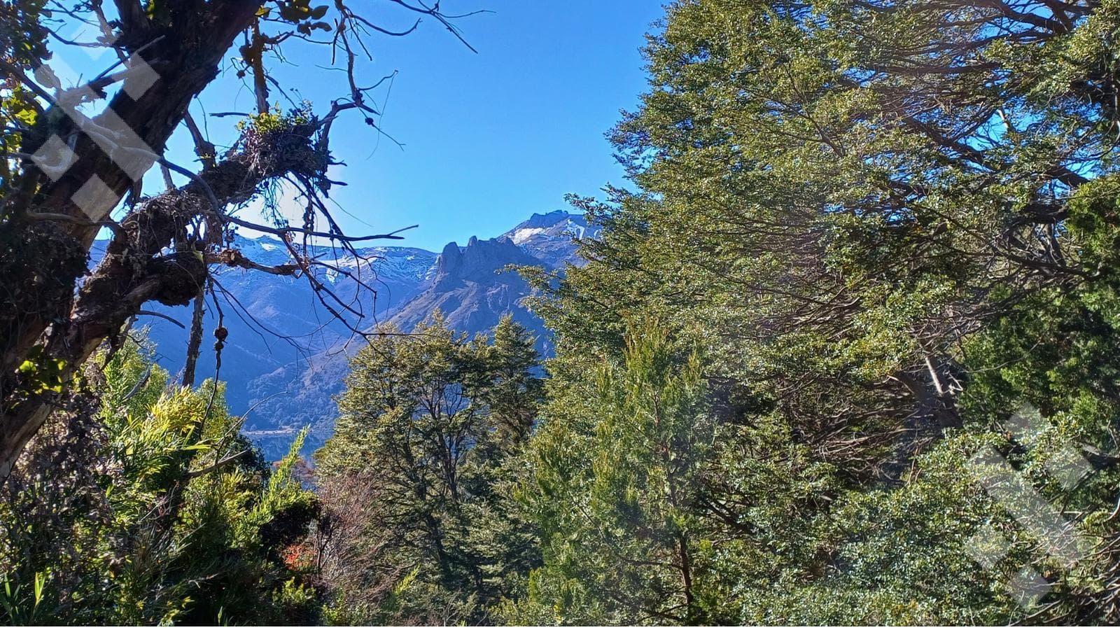 2,500 m² Lot for Sale - Section VI - Meliquina - San Martín de los Andes