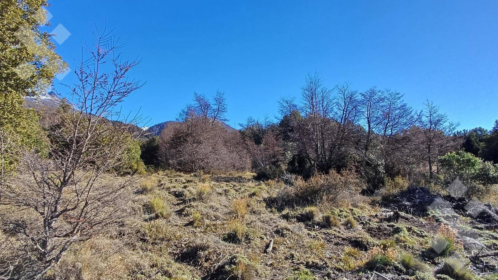 2,500 m² lot for sale - Section VIII-B - Meliquina - San Martín de los Andes