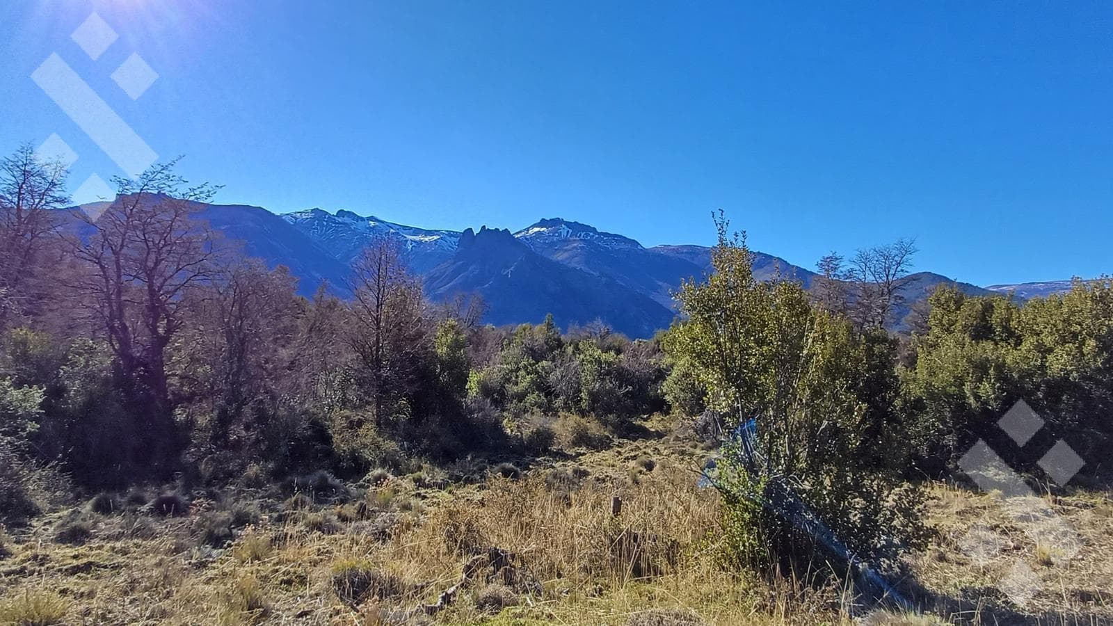 2,500 m² lot for sale - Section VIII-B - Meliquina - San Martín de los Andes