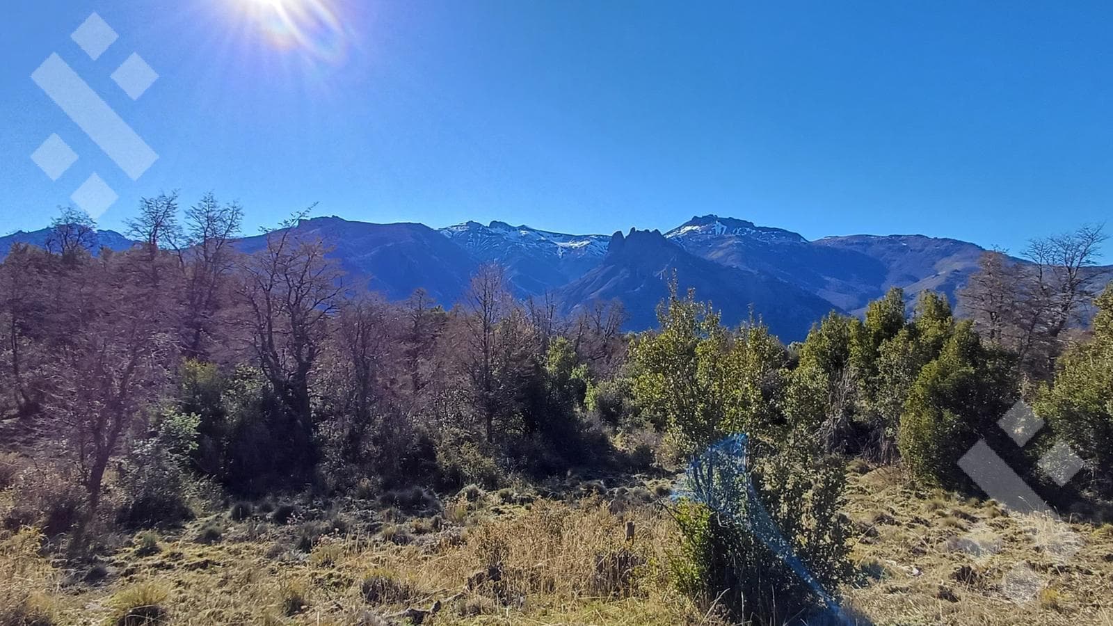 2,500 m² lot for sale - Section VIII-B - Meliquina - San Martín de los Andes