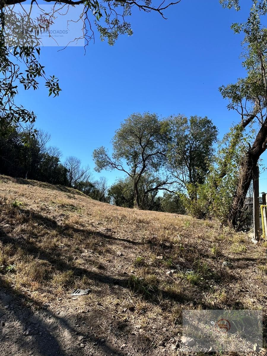 Land for Sale, Sierra Nueva