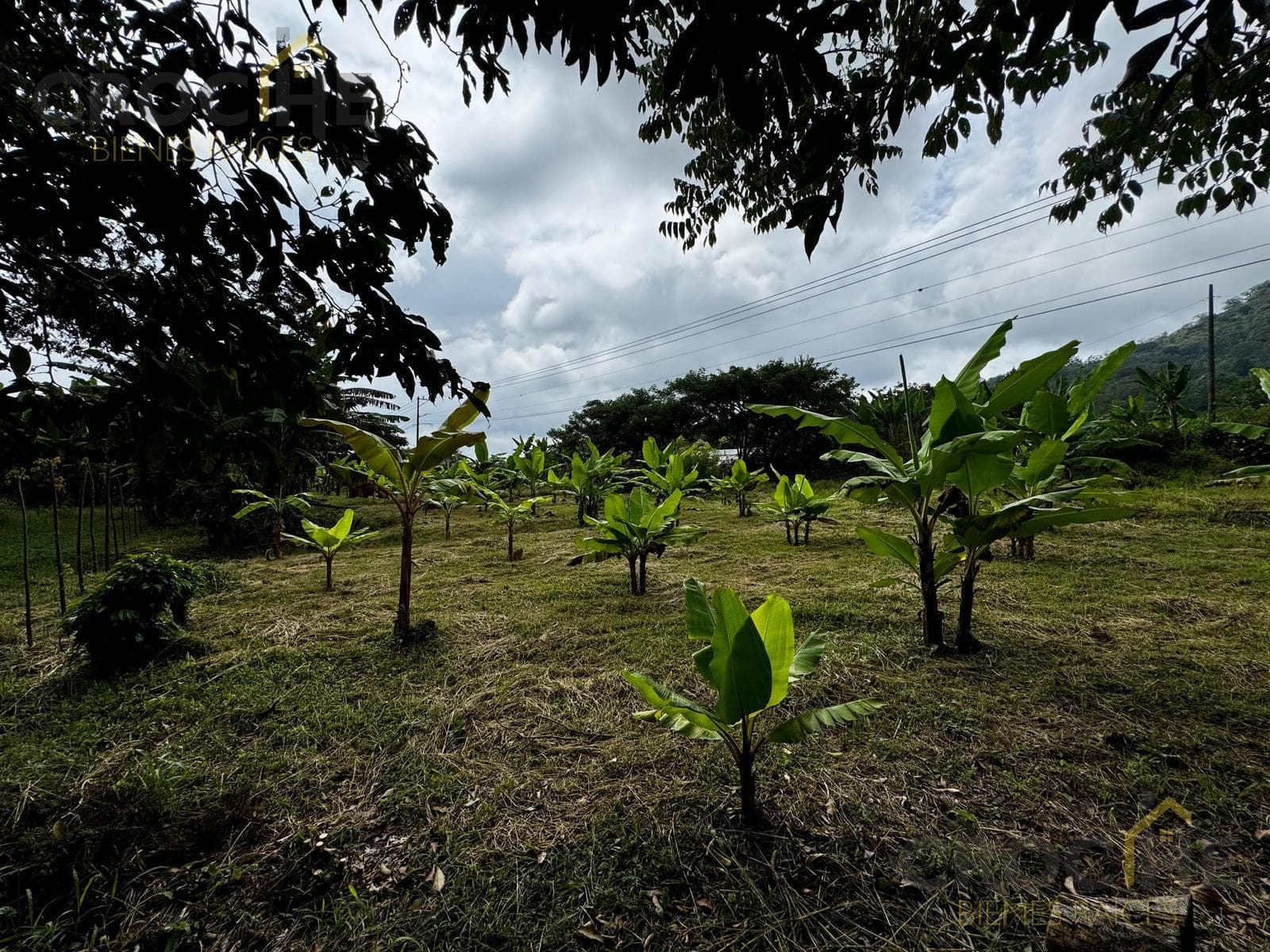 LAND FOR RENT ON THE COATEPEC-XICO HIGHWAY, ACROSS FROM THE LA CHIRIPA SEAFOOD RESTAURANT