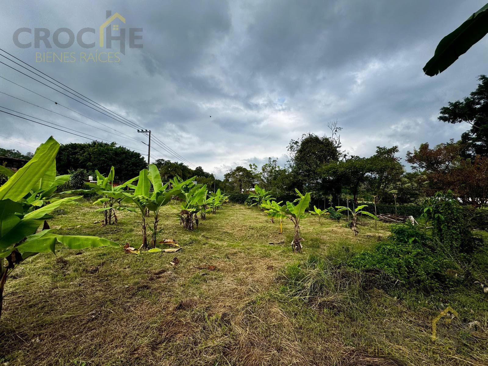 LAND FOR RENT ON THE COATEPEC-XICO HIGHWAY, ACROSS FROM THE LA CHIRIPA SEAFOOD RESTAURANT