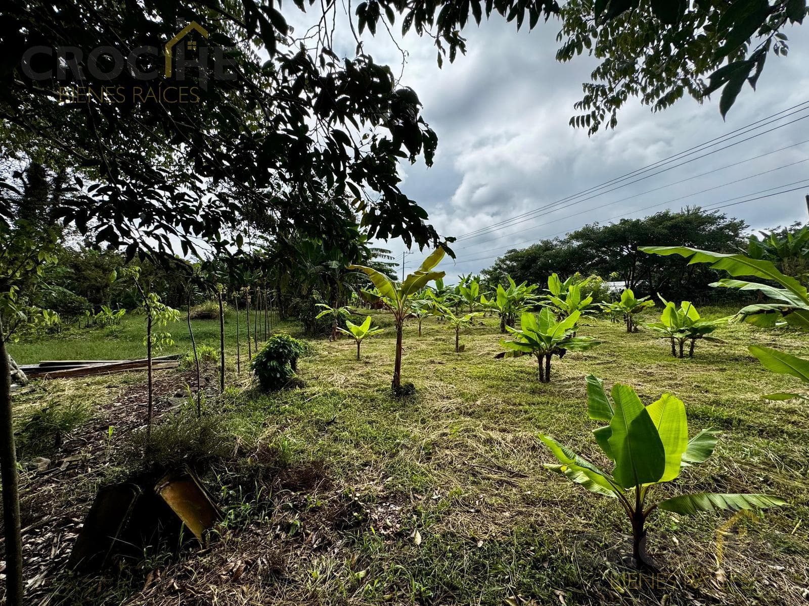 LAND FOR RENT ON THE COATEPEC-XICO HIGHWAY, ACROSS FROM THE LA CHIRIPA SEAFOOD RESTAURANT