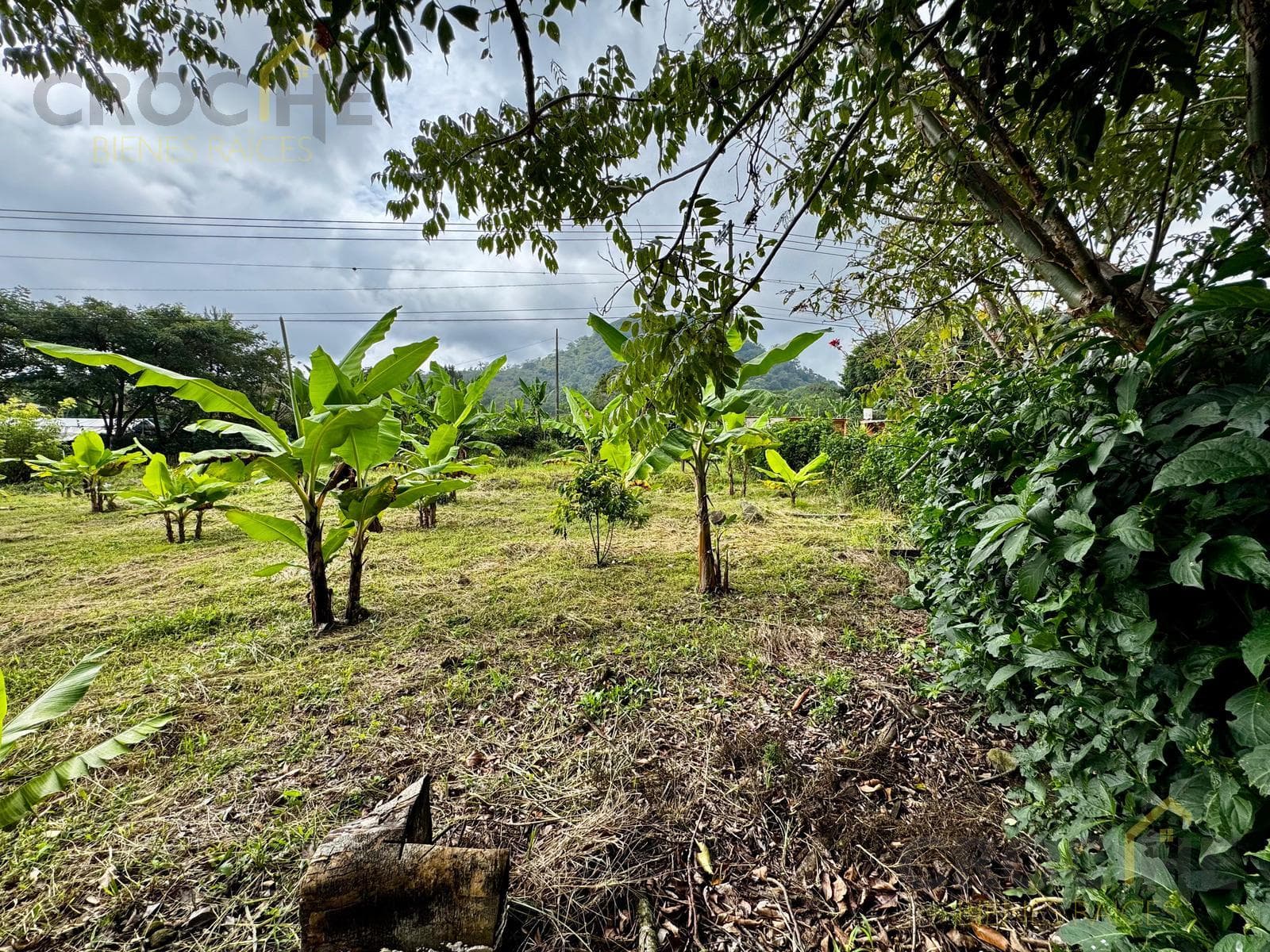 LAND FOR RENT ON THE COATEPEC-XICO HIGHWAY, ACROSS FROM THE LA CHIRIPA SEAFOOD RESTAURANT