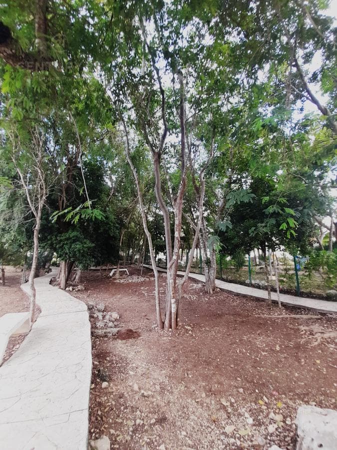 Se Vende Casa Modelo Okume en Los Olivos Playa del Carmen P4461