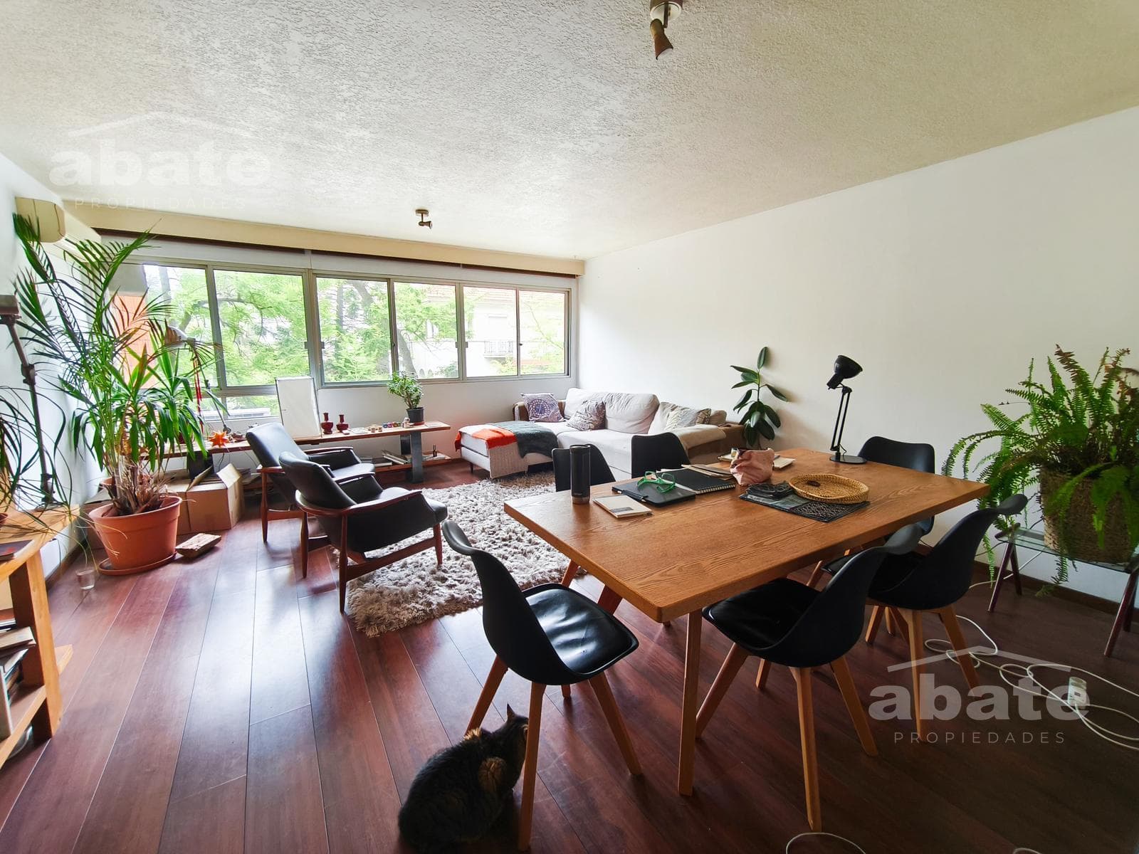 3-bedroom, 2-bathroom apartment in Pocitos, Montevideo. Just steps from Av. Brasil and Berro.