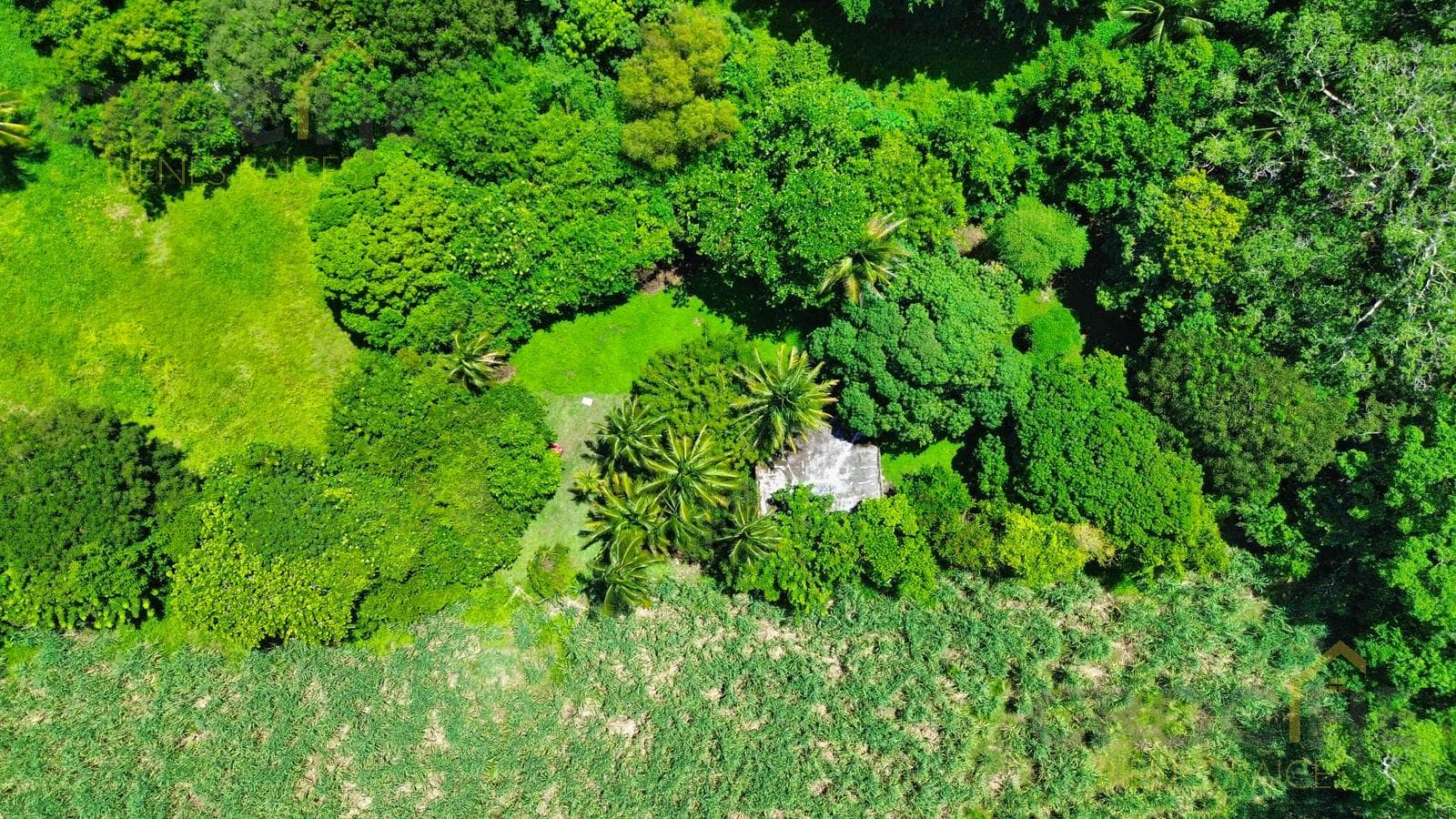 Land for Sale in La Antigua, Veracruz, with Direct Access to the La Antigua River