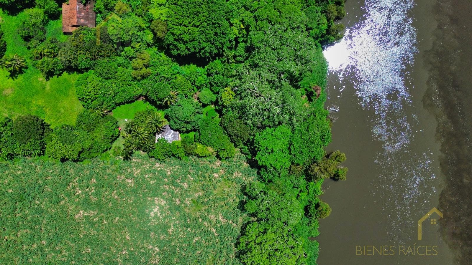 Land for Sale in La Antigua, Veracruz, with Direct Access to the La Antigua River