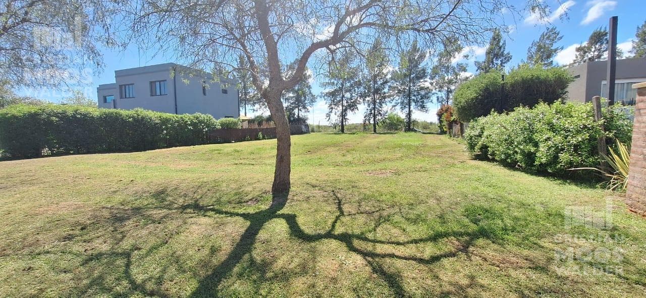 Land in San Matias