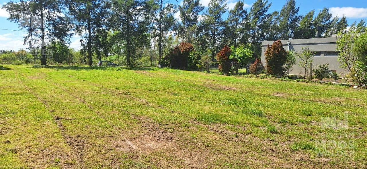 Land in San Matias