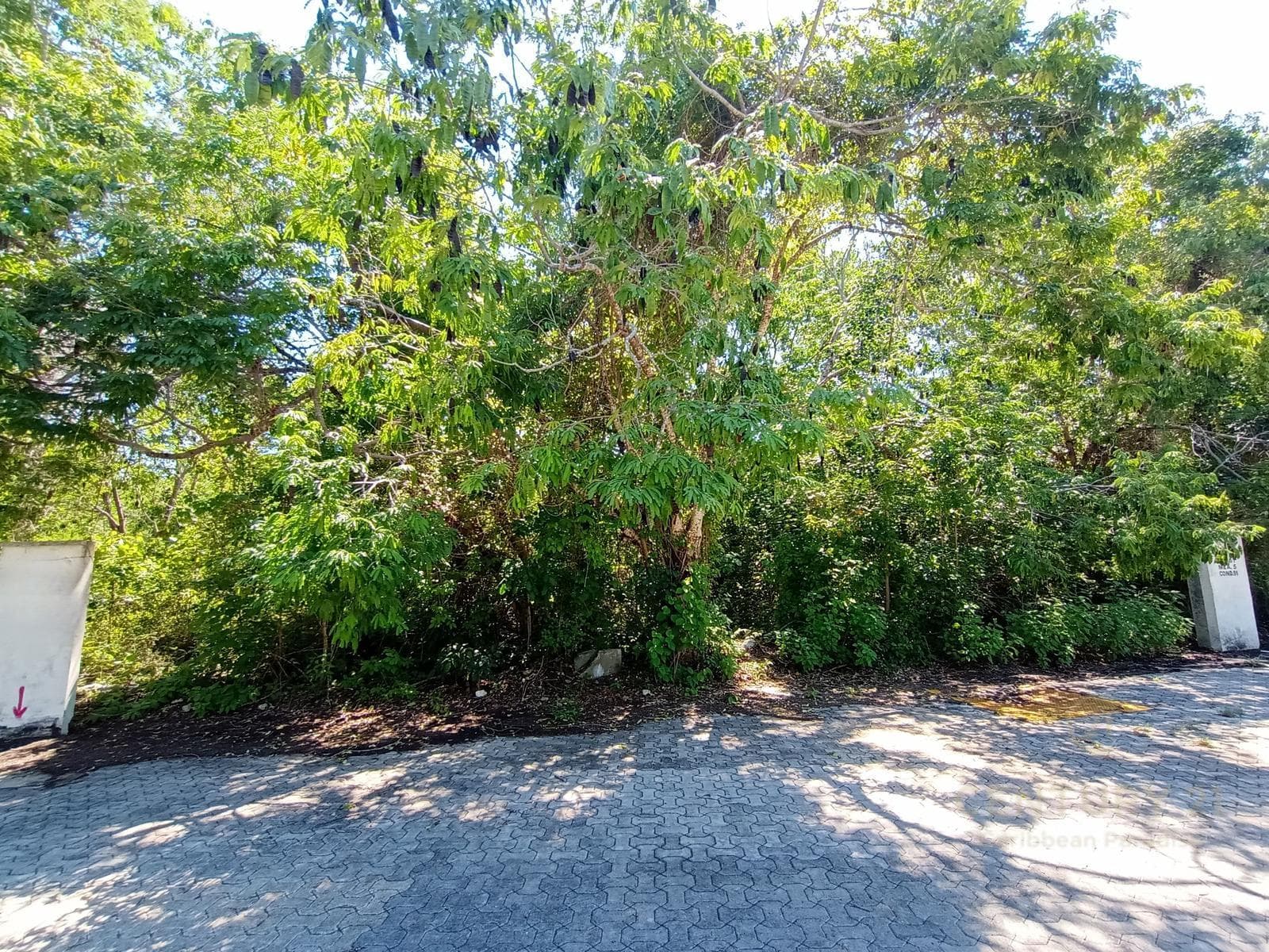 Land for Sale at Cruz de Servicios on Chemuyil Avenue