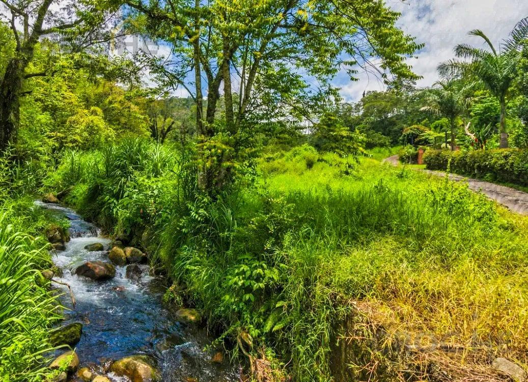 Land for Sale in Tlacuilolan Xico, Veracruz, with a Cabin