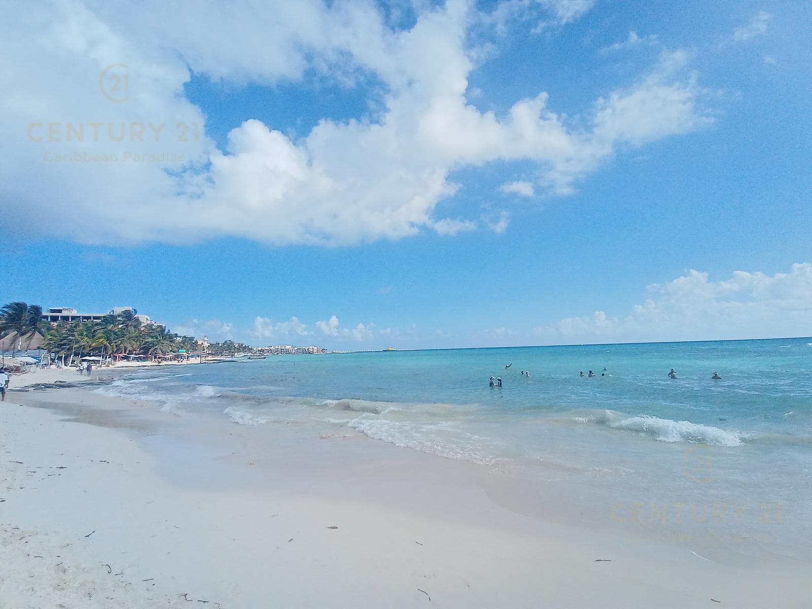 Renta lindo Estudio en Condo con Rooftop Centro Playa del Carmen P4478