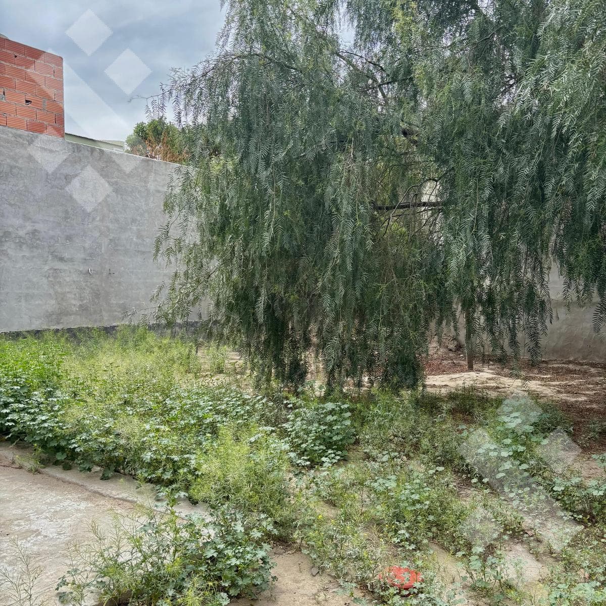 2-BEDROOM HOUSE FOR SALE - LAS GRUTAS