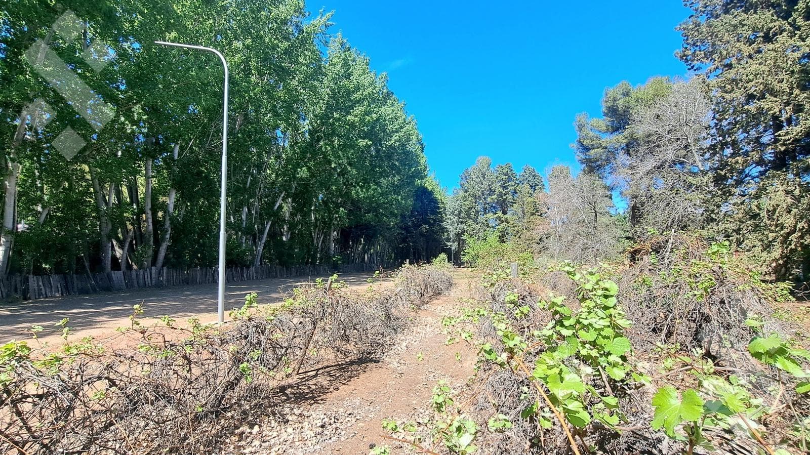 Land in Plottier: 360 M2 LOT FOR SALE - MZA P, LOT 7 - PRADERAS ESMERALDA SUBDIVISION, PLOTTIER