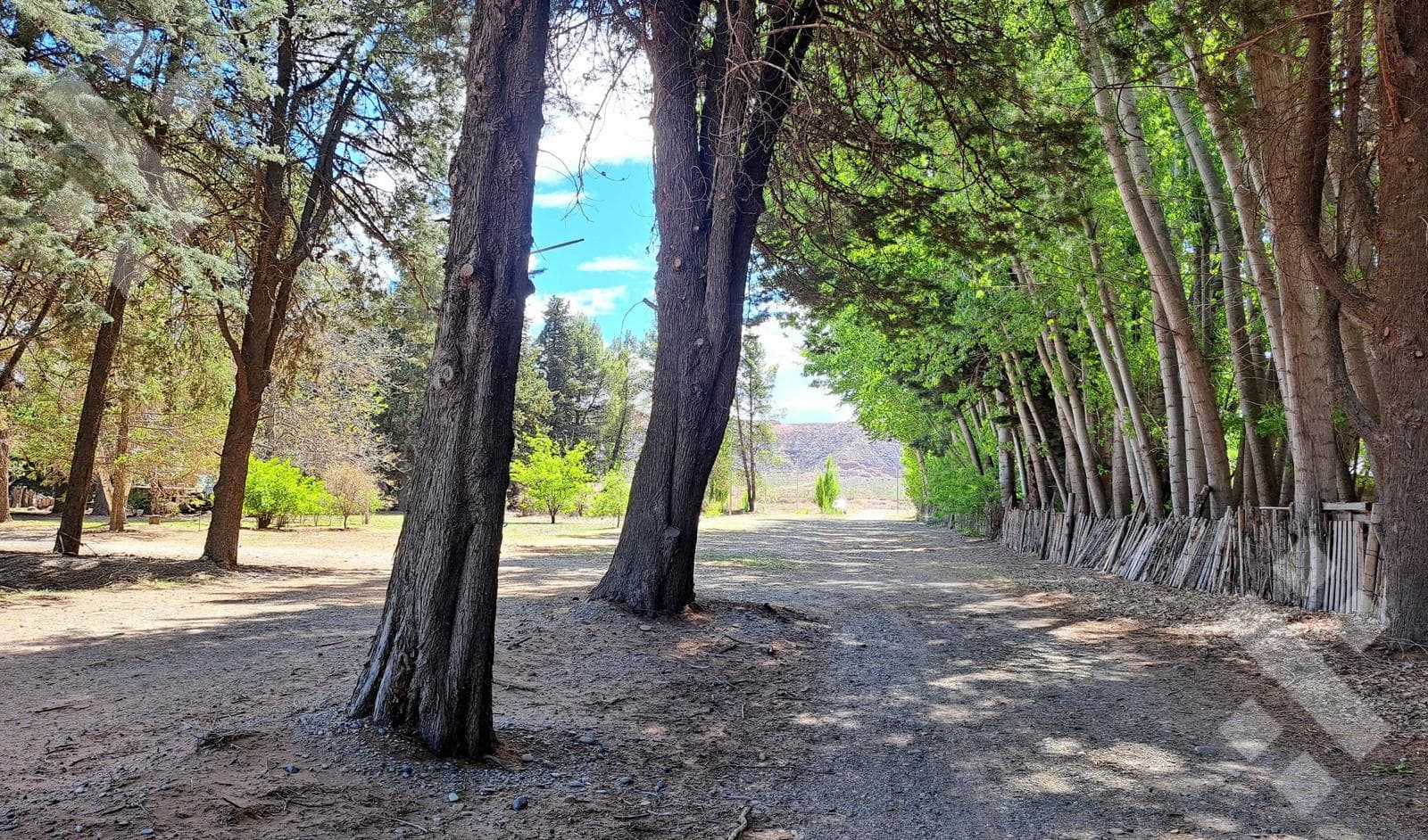 Land in Plottier: 360 M2 LOT FOR SALE - MZA P, LOT 7 - PRADERAS ESMERALDA SUBDIVISION, PLOTTIER