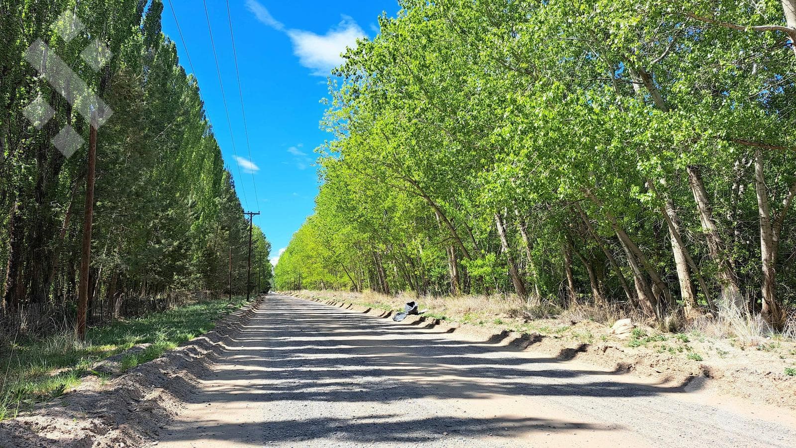 Land in Plottier: 360 M2 LOT FOR SALE - MZA P, LOT 7 - PRADERAS ESMERALDA SUBDIVISION, PLOTTIER