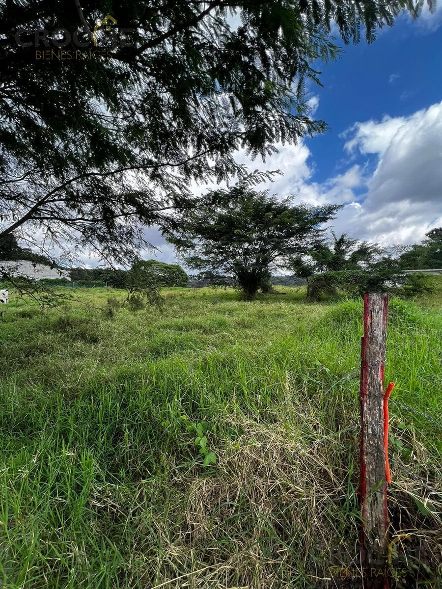 Land for Sale in Los Arenales, Xalapa, Veracruz