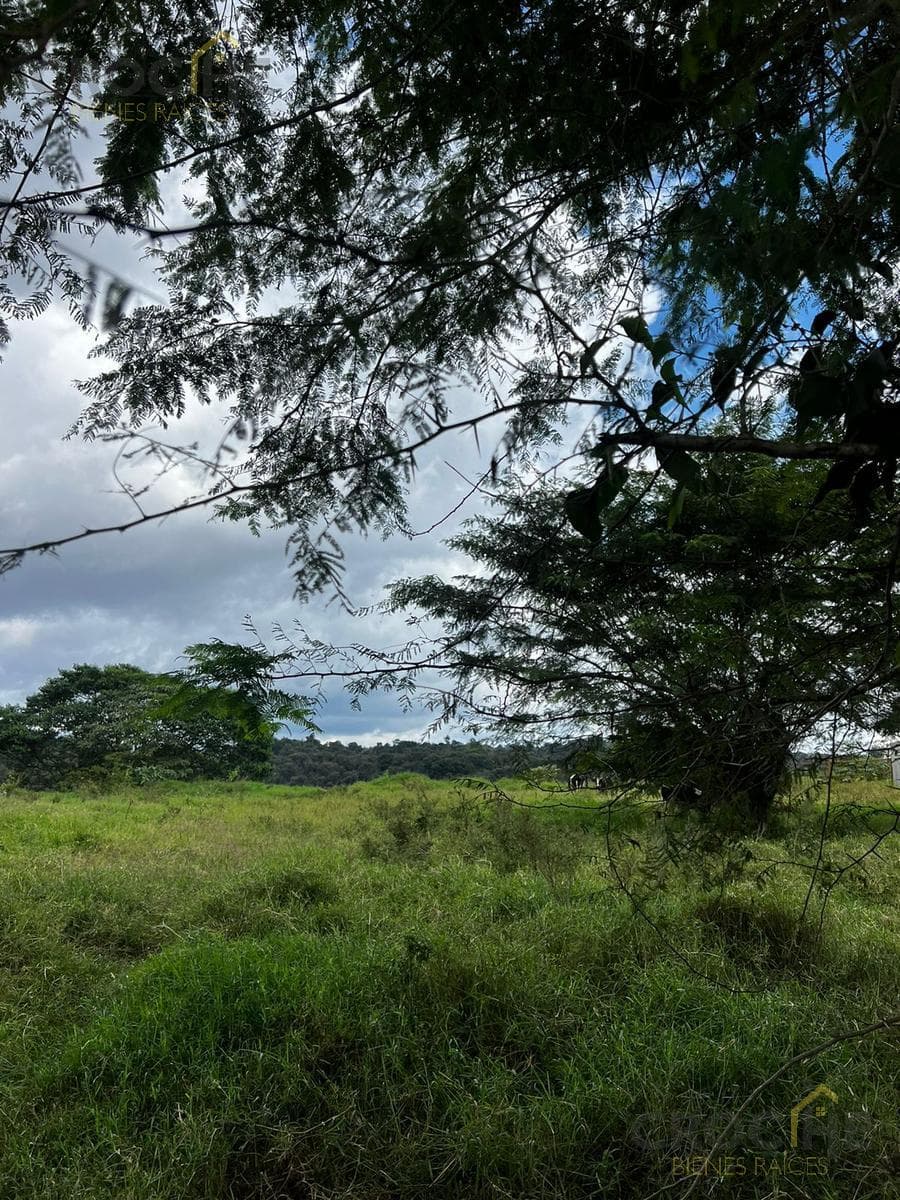 Land for Sale in Los Arenales, Xalapa, Veracruz
