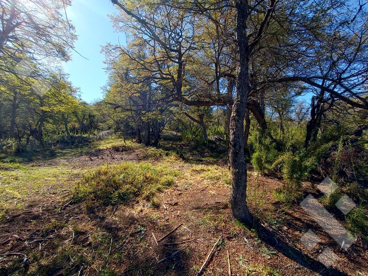 FOR SALE: 600 M2 LOT - ALTOS DE KALEUCHE - SAN MARTIN DE LOS ANDES