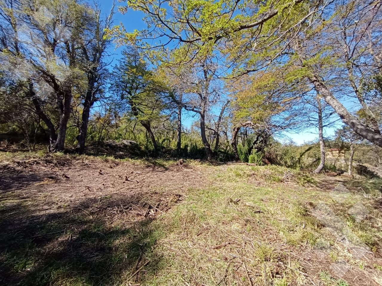 FOR SALE: 600 M2 LOT - ALTOS DE KALEUCHE - SAN MARTIN DE LOS ANDES