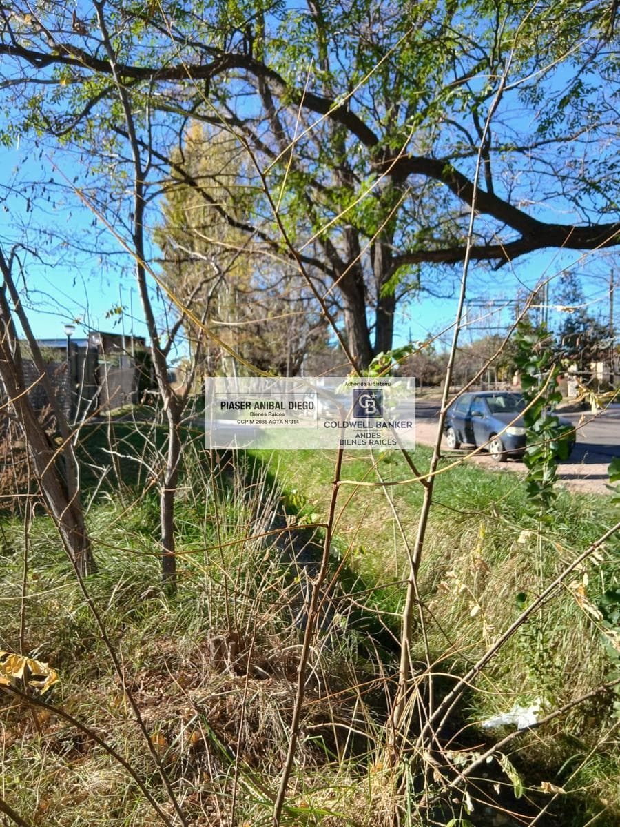 Lot in San Rafael, Villa Suter. Sarmiento Street.